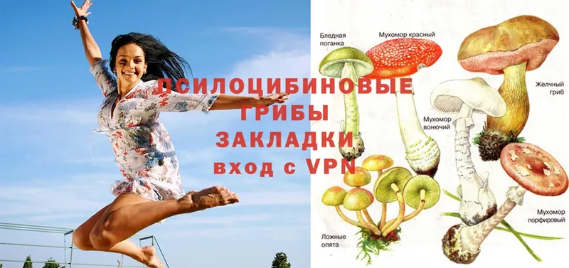 Галлюциногенные грибы MAGIC MUSHROOMS  как найти наркотики  Кимры 